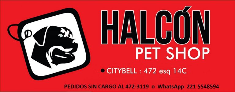 237613092 215136067290903 4917909385688414281 n 768x300