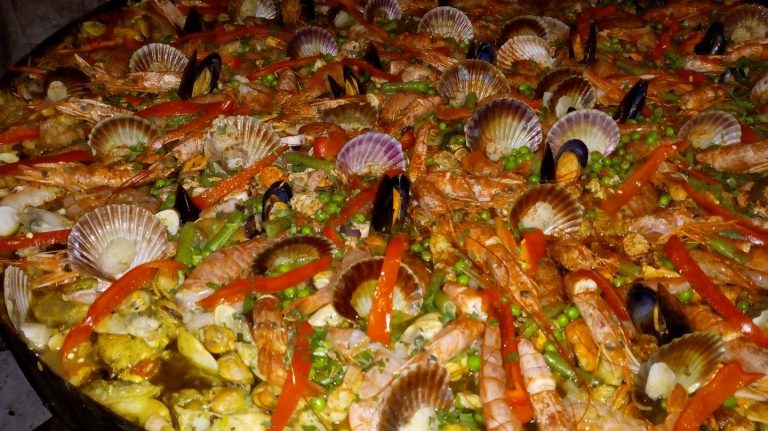 277677044 488385329366640 5967077821171134163 n 768x431