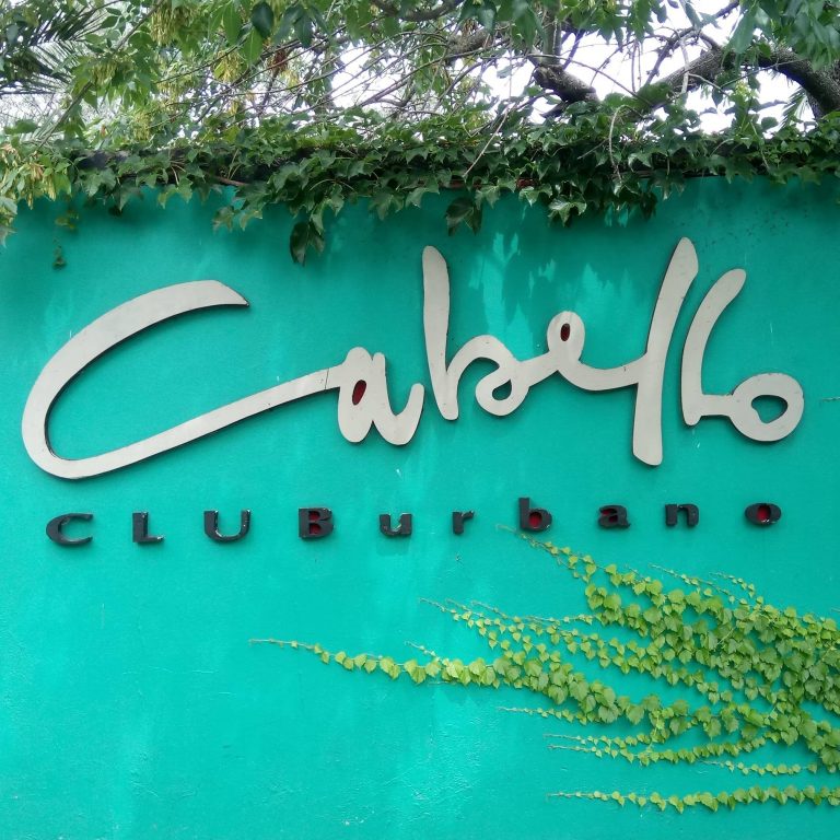 292819822 535695104836476 1736796626215130306 n 1 768x768