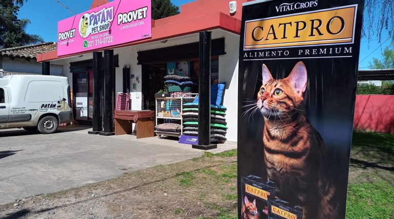 301960930 604926081348787 8731676652369909417 n 768x427