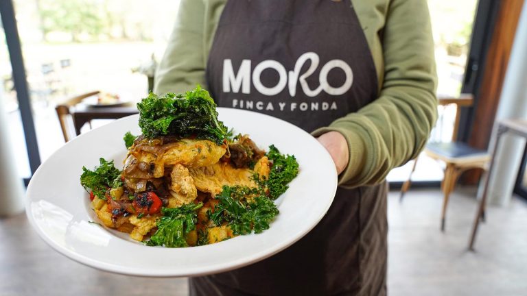 360133343 783069143820874 8318530457884463593 n 768x432