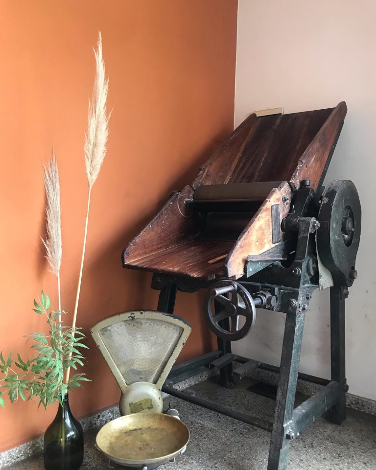 361659016 849821626478573 5172009492581883366 n 768x960