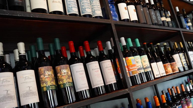 362636967 785904083537380 6995623876775413668 n 768x432