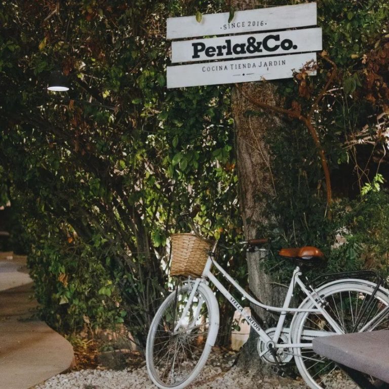 376735789 692437682912591 5447544553029041757 n 768x768