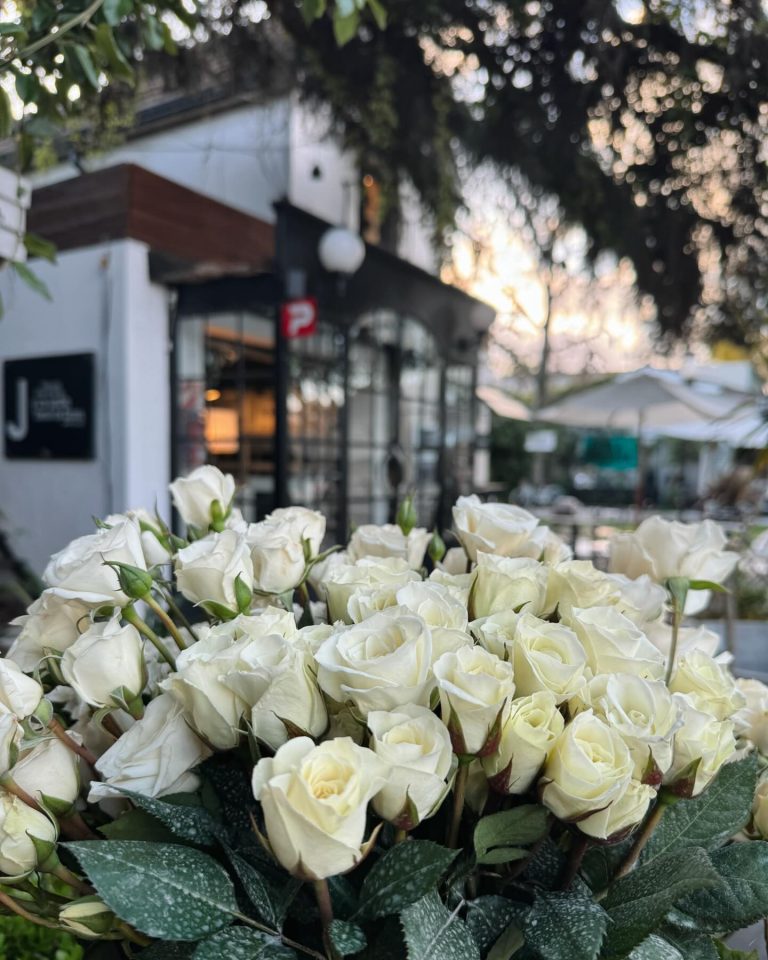 391612655 18292937203121869 1512621760261140362 n 768x960