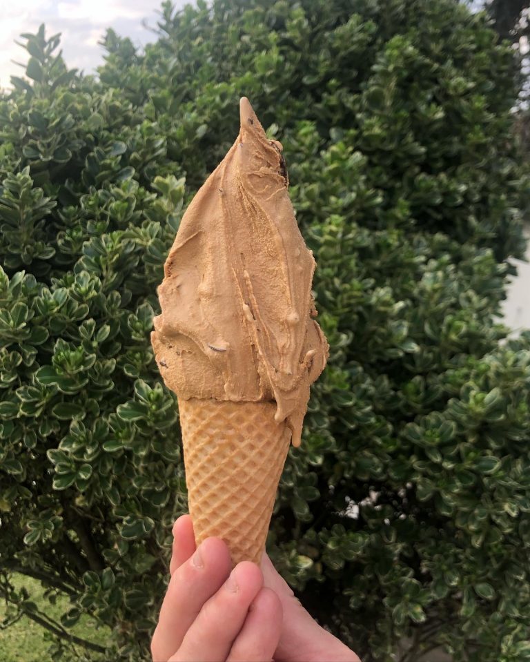 301316197 448220830660689 7525085892892895029 n 768x959