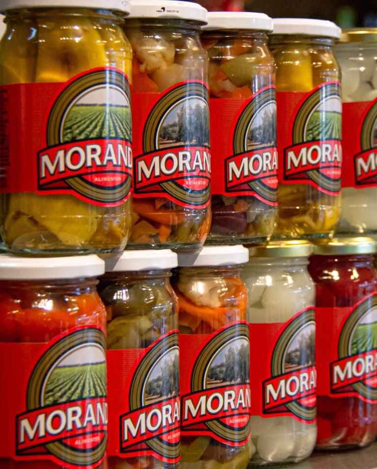 447692790 18267791824208571 6664761776202798782 n 768x956