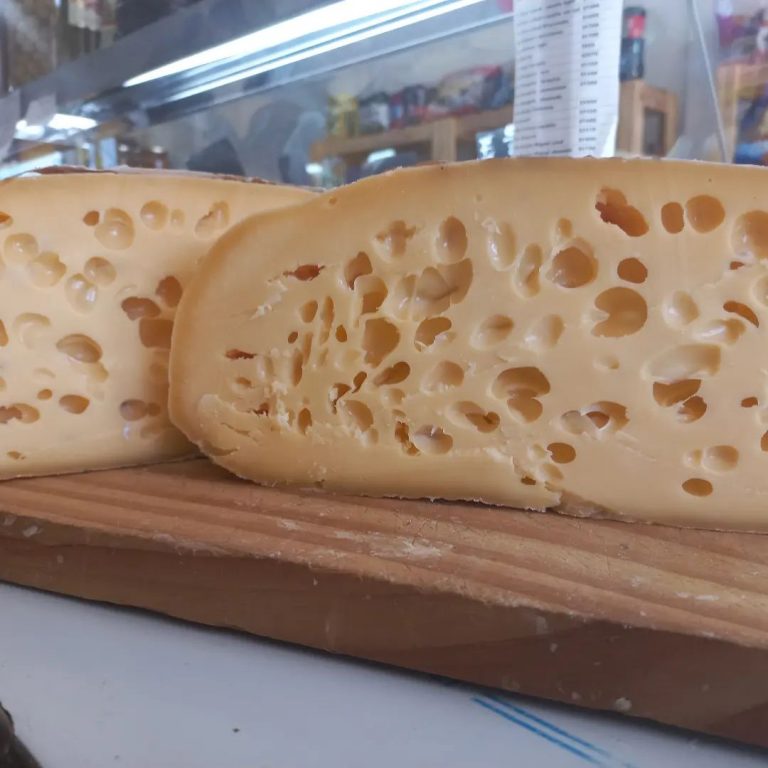 316082014 140999452056063 334354553467783606 n 768x768