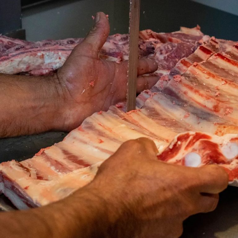 356074612 1021029592215257 2395273961521284119 n 768x768