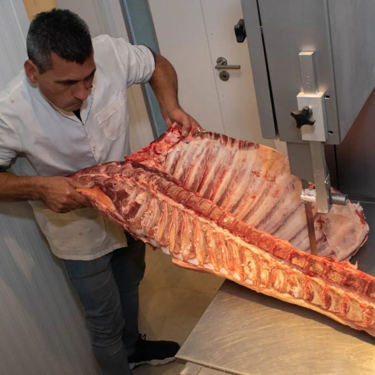 356229107 1318912329007897 8361784901331703548 n 768x768