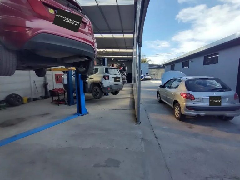 290887208 1169157953817283 6099383464061048374 n.webp 768x576