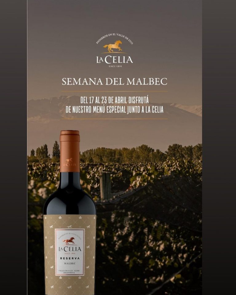 339668037 607437808070025 4706410761866850545 n 768x960