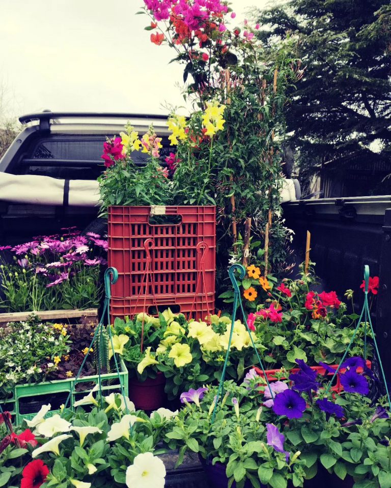 381288184 1682834232141333 3353224473331094357 n.heic 768x960