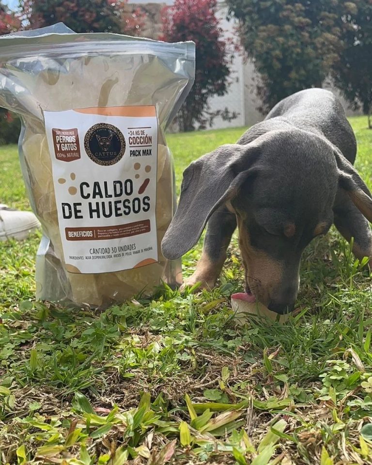 386825724 1058329345189557 4083516683710080931 n.webp 768x960