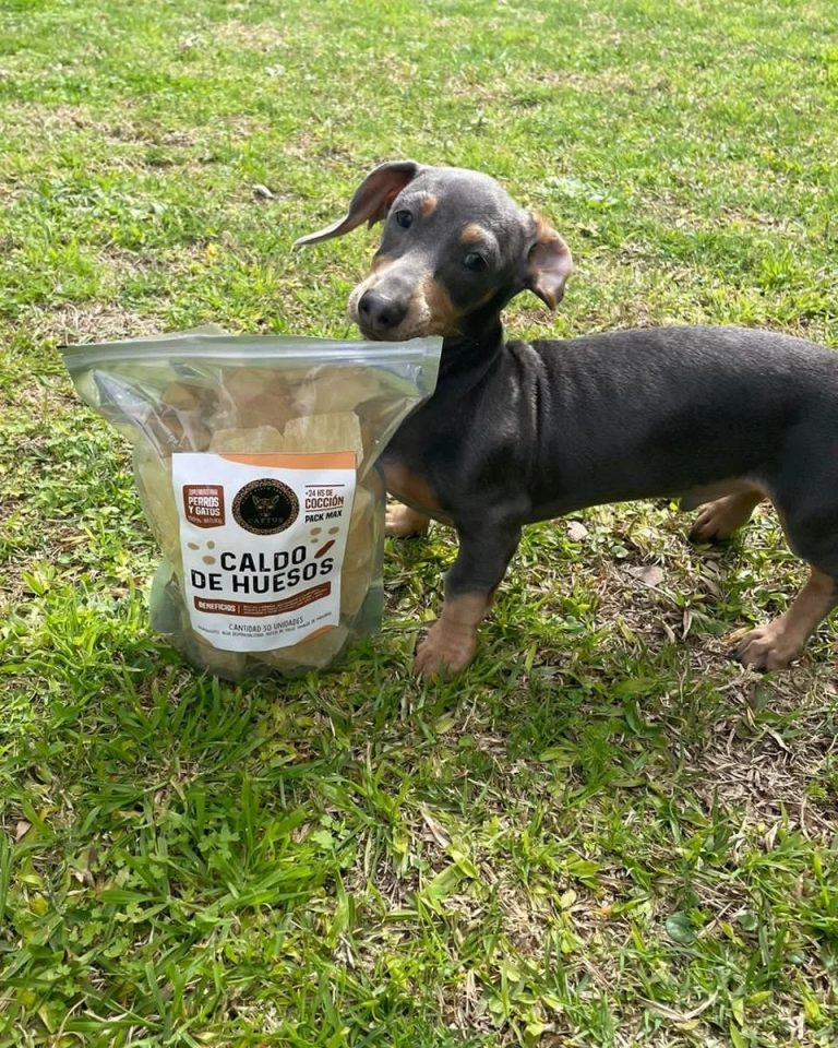 387255595 626192139590823 7210010405285965794 n.webp 768x960