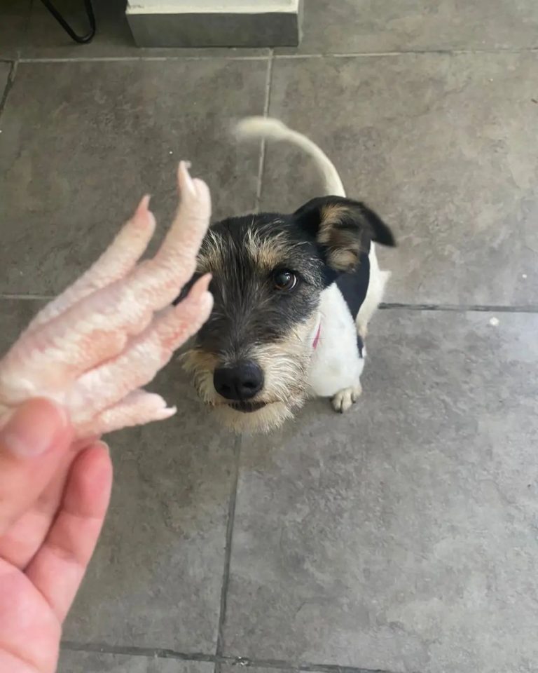 418669285 1341383063406461 2338328166901931116 n.webp 768x960