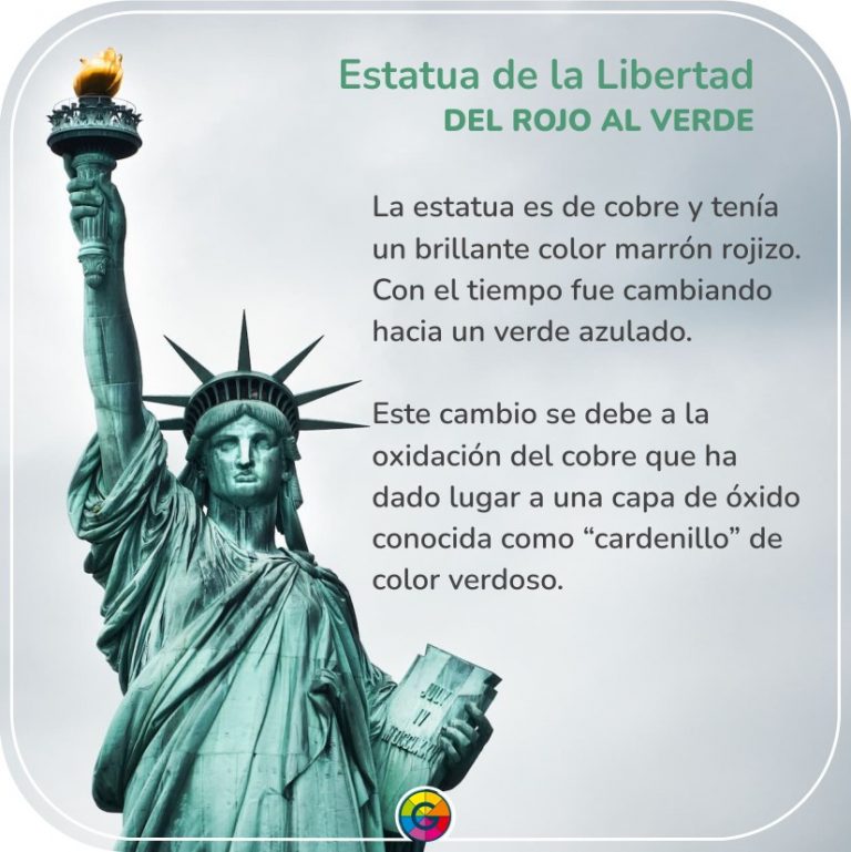 429885239 786723353484084 3889795658717414347 n 768x769