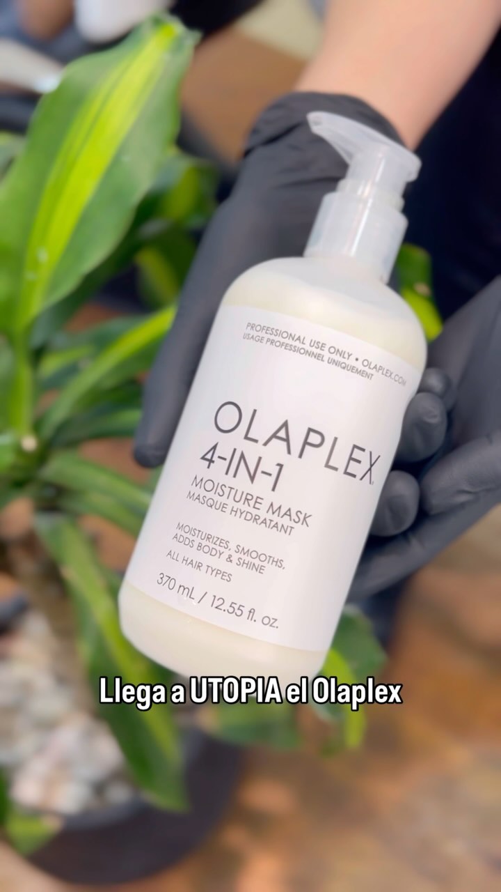 444805706 1357488294918248 3629351117488560915 n