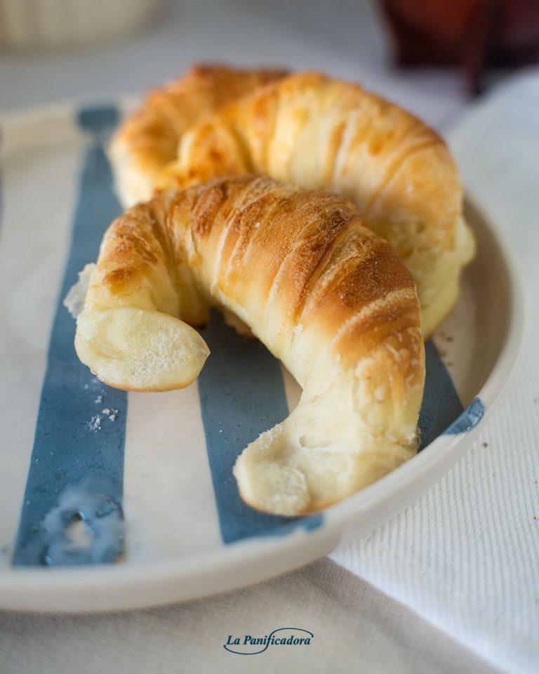 448414279 419021264342592 3500392466835274959 n 768x960