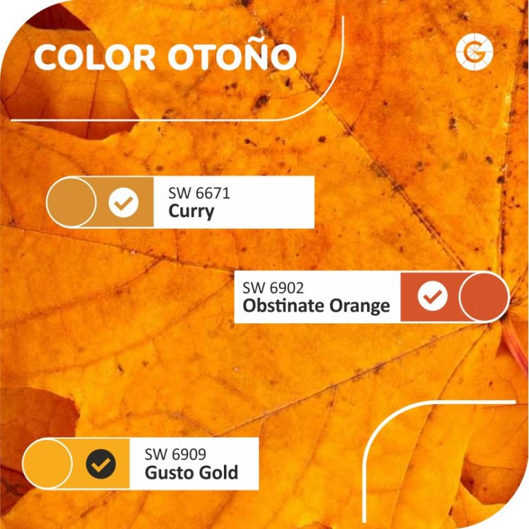 448538279 854627396693679 8209821819171262736 n 768x767