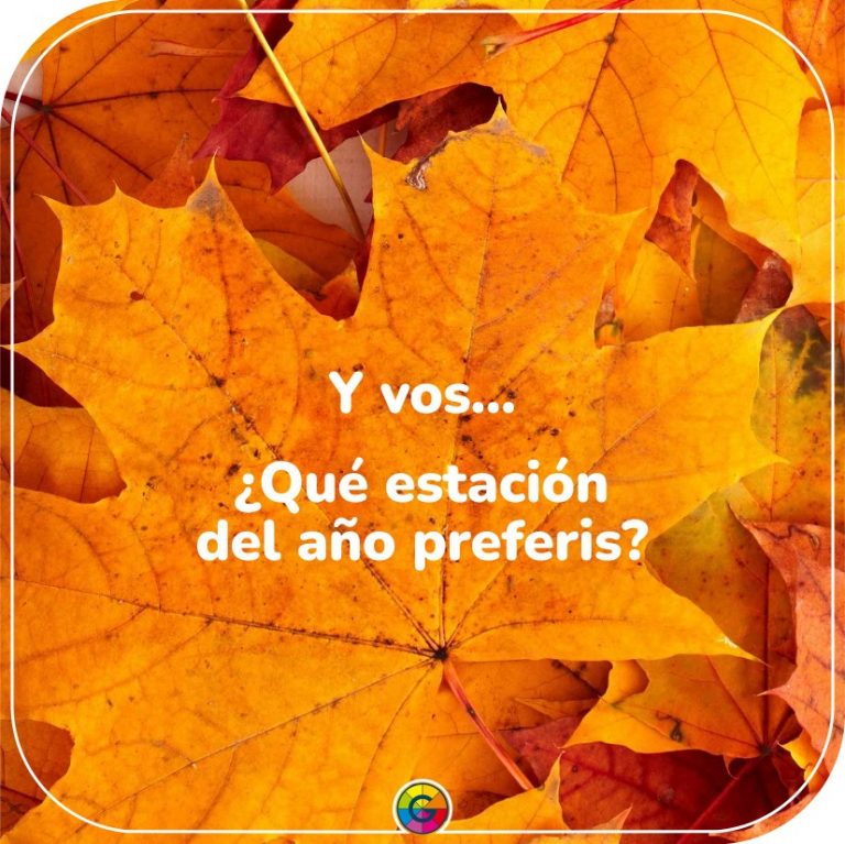 448636251 854627416693677 5316714873017598859 n 768x767