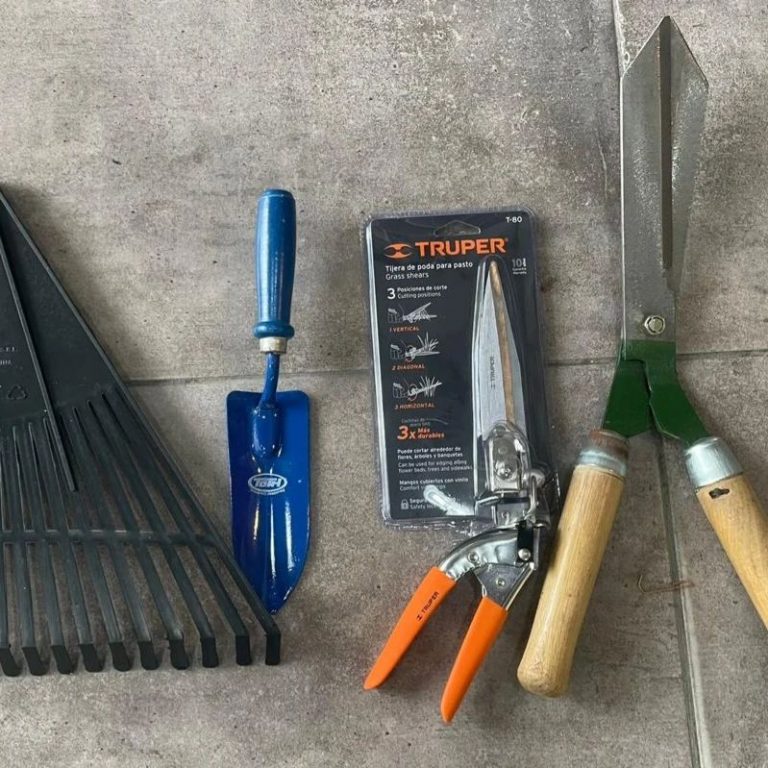 450174986 1440234803295103 5780470716107990049 n.webp 768x768