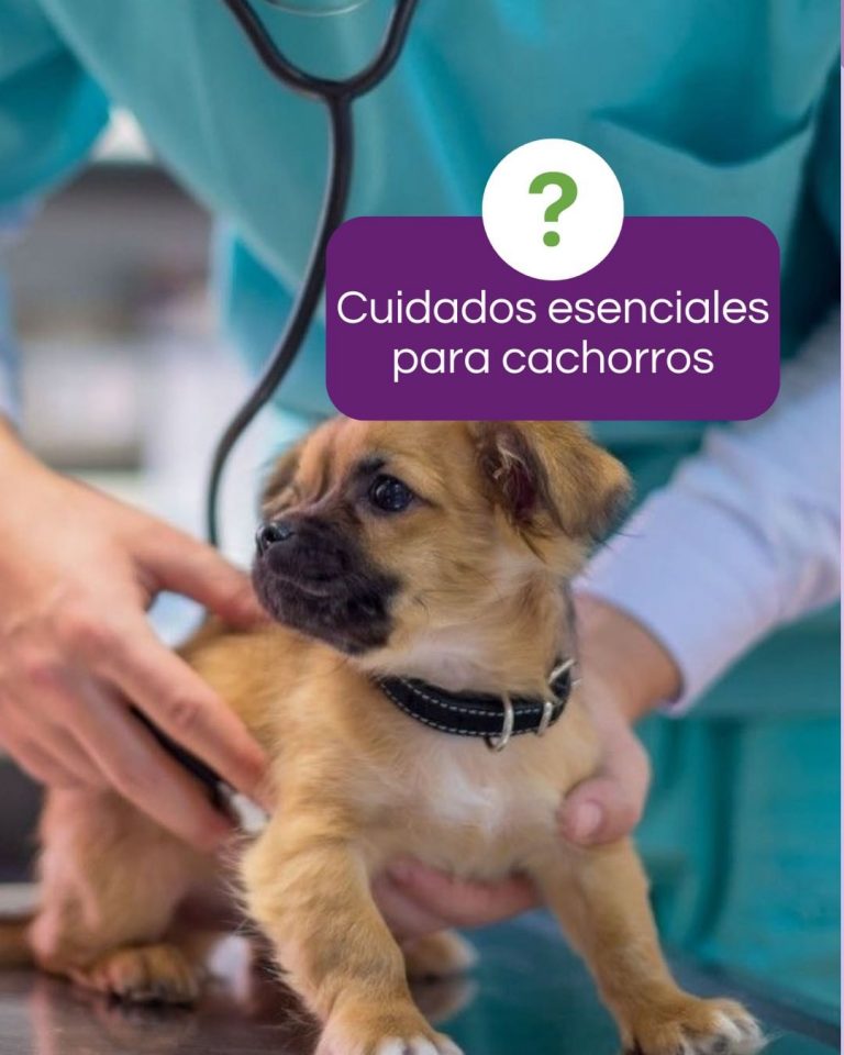 454257421 122133868022289495 4987980459647818101 n 768x960