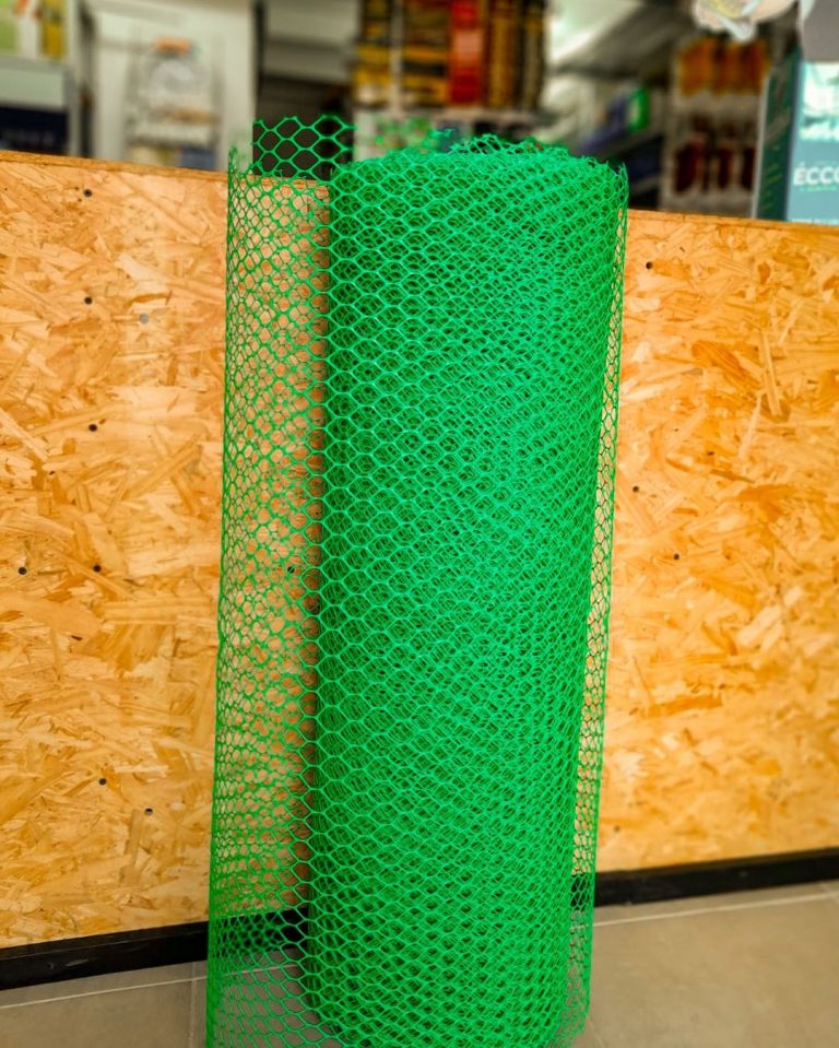 456212979 792670156107956 8504810527132200898 n 768x959