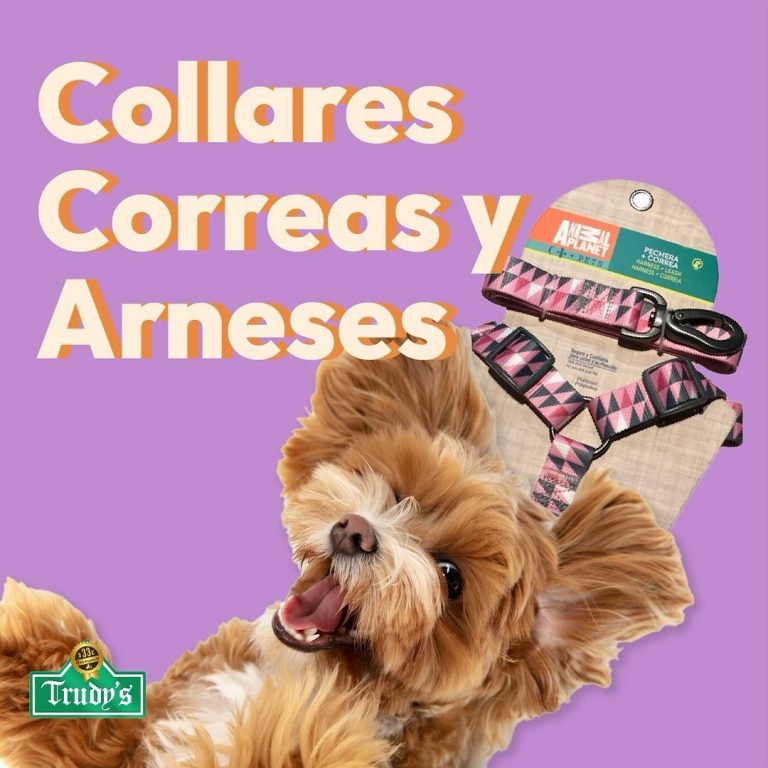 457185916 1275571653457198 3285642747076477365 n 768x768