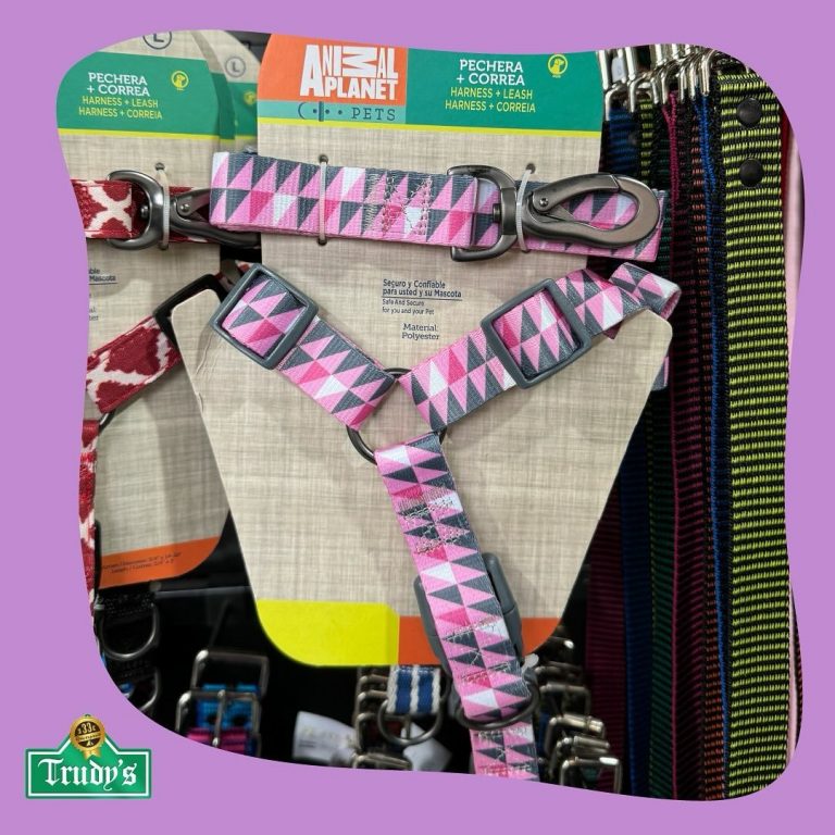 457321083 1891530278003800 1594464464555824138 n 768x768