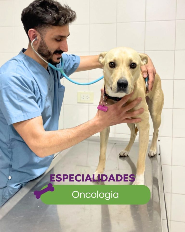 457611266 122138890328289495 1116881533995942107 n 768x960