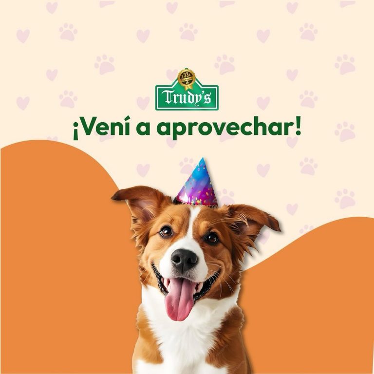 457666795 452825667760120 2616620657639741668 n 768x768