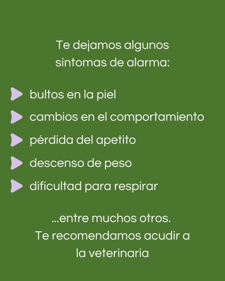 457804521 122138890454289495 6122862461273543242 n 768x960