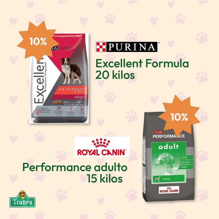 457876634 1150503479348852 219375222601360137 n 768x768