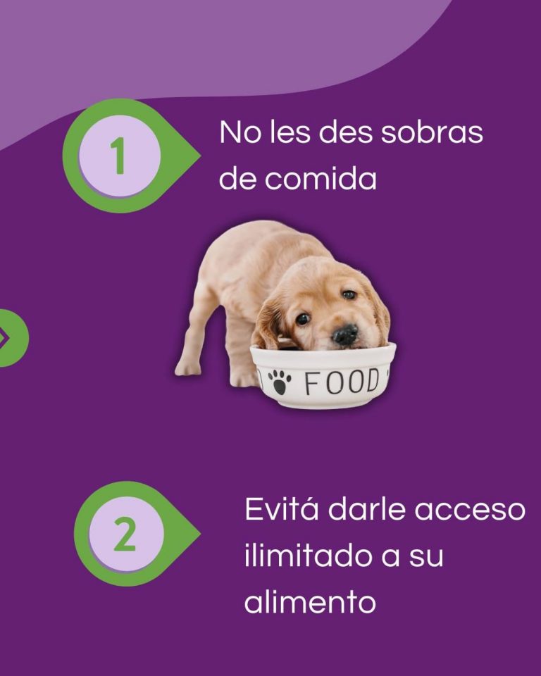 458702535 122140284812289495 893751529896104556 n 768x960