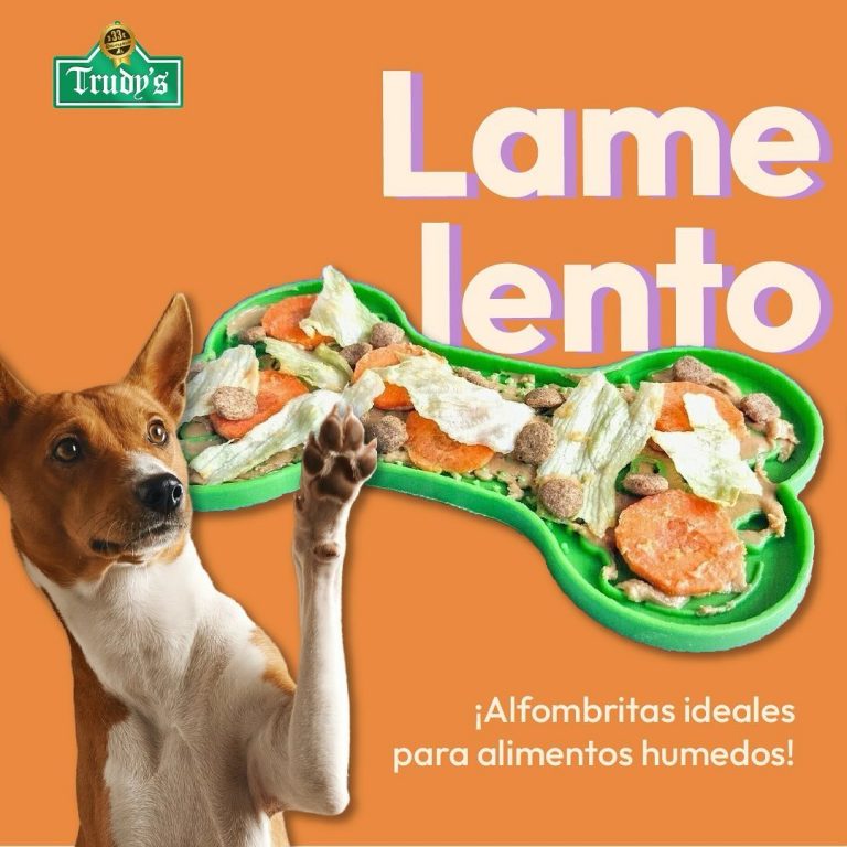 458734807 393933486816430 2890528946790427142 n 768x768