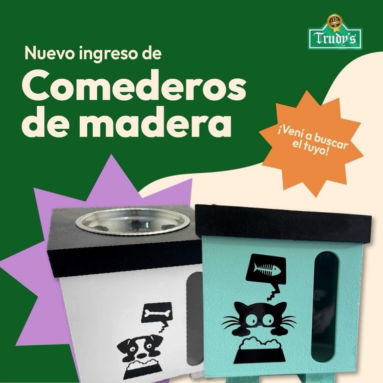 458985478 532807722550333 849600189452191123 n 768x768