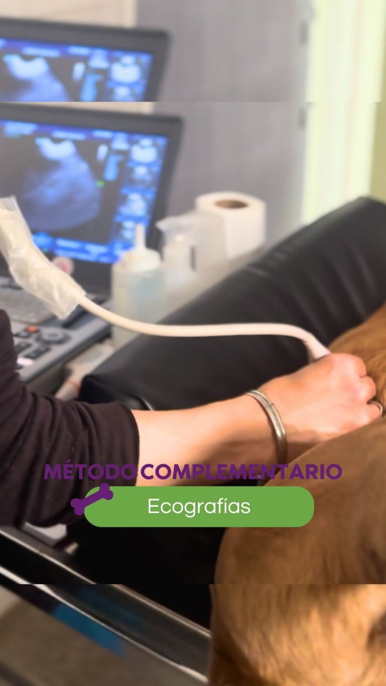 459247896 1916838812076319 15758180372497167 n 768x1365