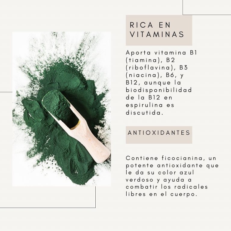 459597968 1921671018301833 495616683061152725 n 768x768