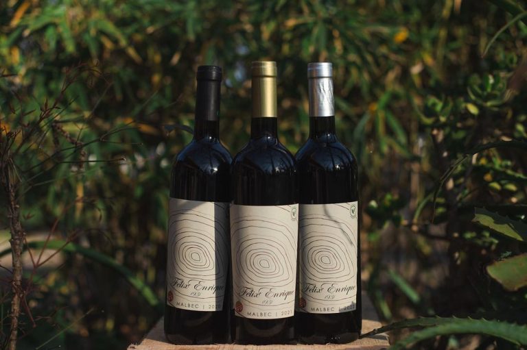 460302010 487591860818252 476061061436654183 n 768x511