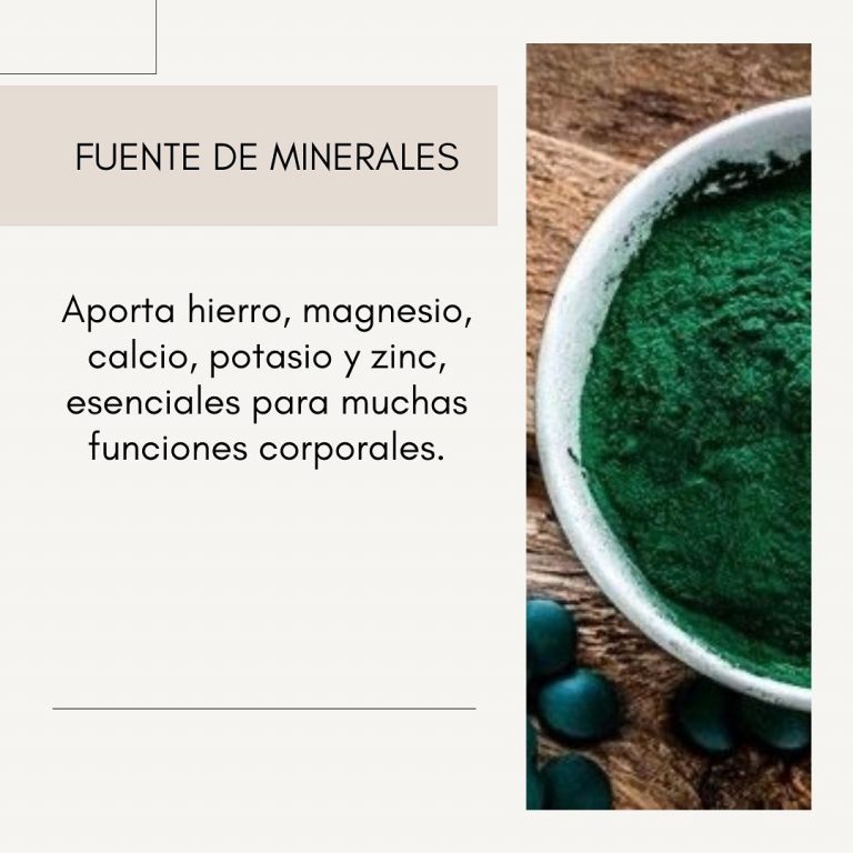 460466108 1971546026630989 1992087844843996600 n 768x768