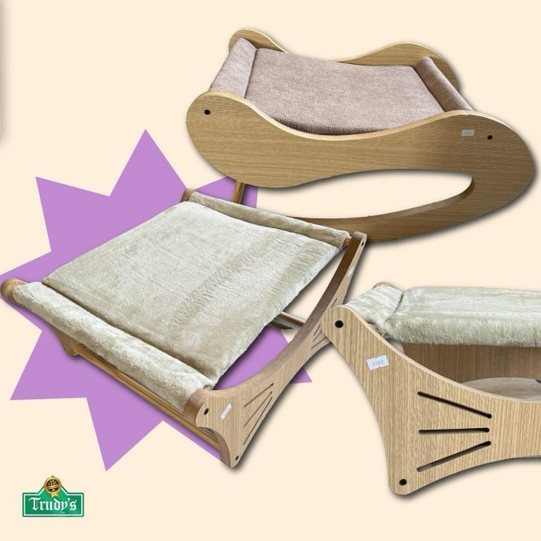 460666821 554892676890163 8642815406069880300 n 768x768