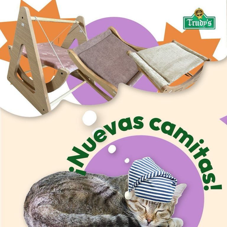 460840365 544766248196619 6059008513990444566 n 768x768