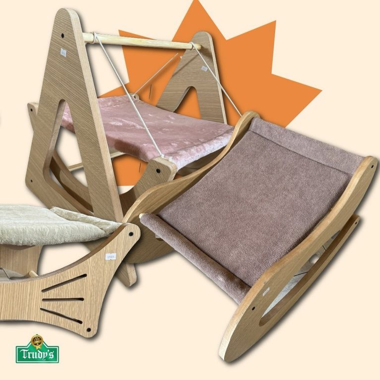 460866557 557645410268193 4160223980895403862 n 768x768