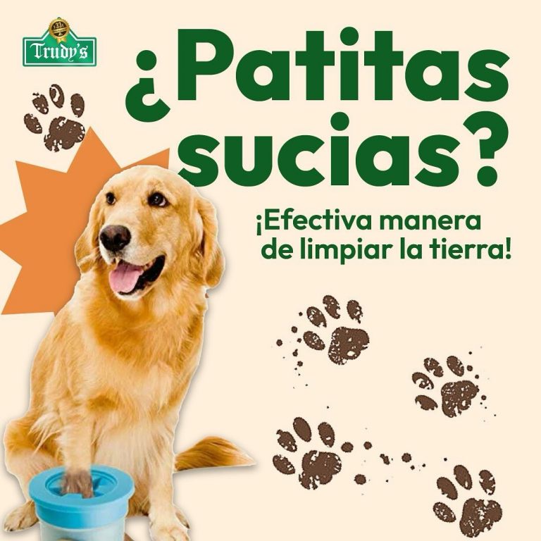 461168926 1172808080457498 5567504369291201719 n 768x768