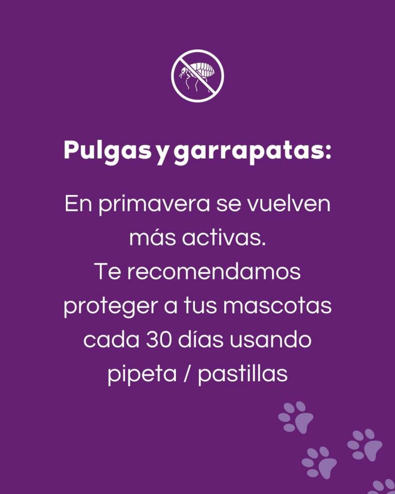 461490008 122144741534289495 6123903915161997147 n 768x960