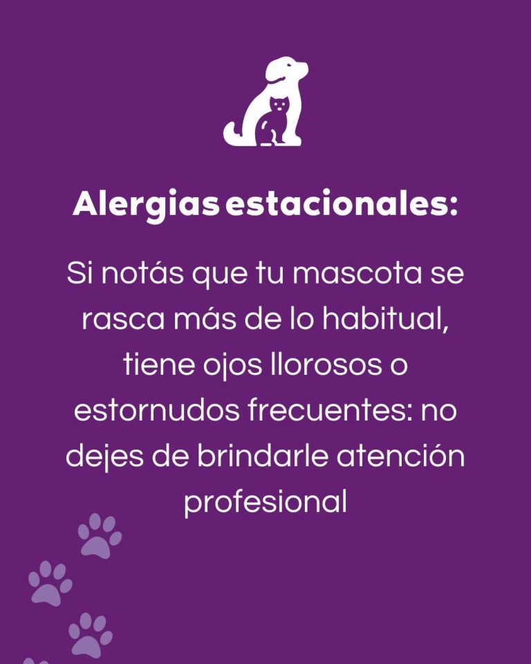 461541127 122144741582289495 881542553561173612 n 768x960