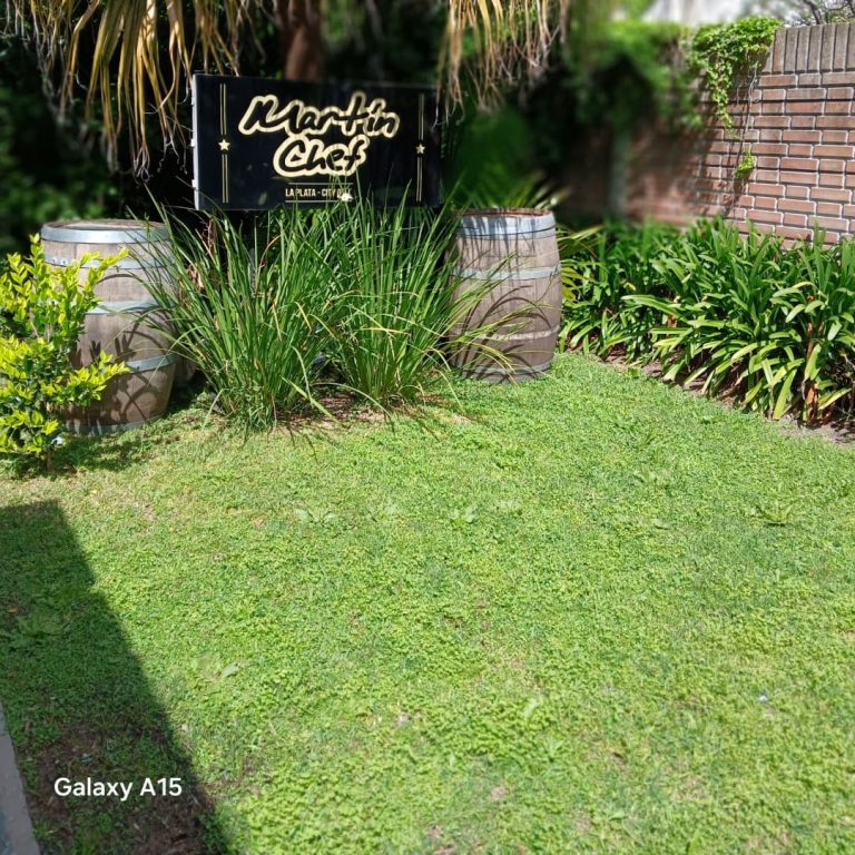 461901270 1450337518962307 6491893368876769472 n 768x768