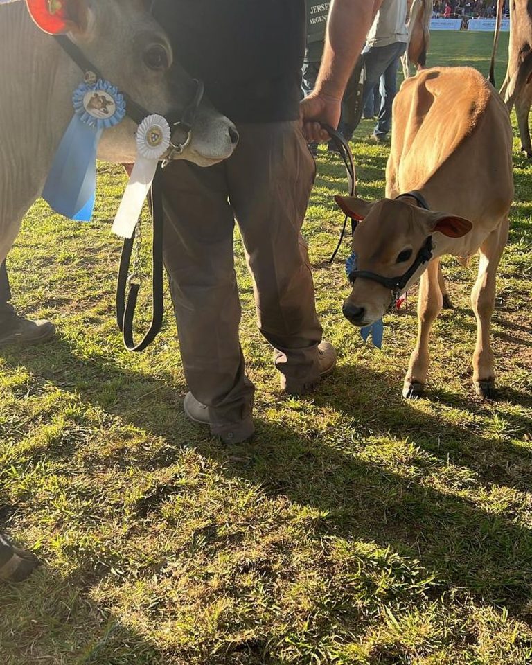 462235117 18251681926261266 4193945890204320528 n 768x960