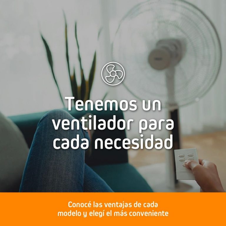 462684083 955228466644682 7926830100888728696 n 768x768